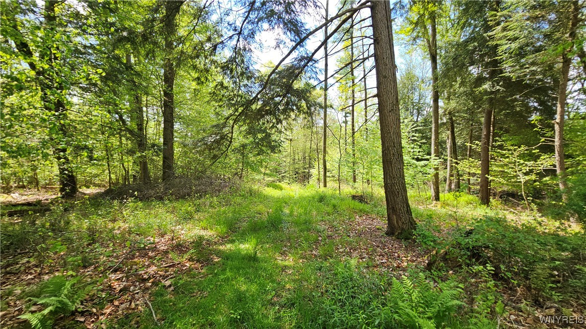 6229 Lilly Road, Belfast, New York image 43