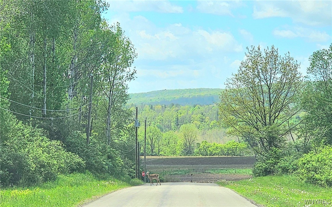 6229 Lilly Road, Belfast, New York image 49