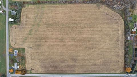 Tiny photo for V/L #1 Remsen Road, Pembroke, NY 14001 (MLS # B1649806)