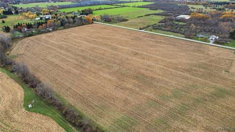 Tiny photo for V/L #1 Remsen Road, Pembroke, NY 14001 (MLS # B1649806)