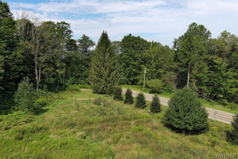 Tiny photo for 10259 Allen Road, Sardinia, NY 14055 (MLS # B1709209)