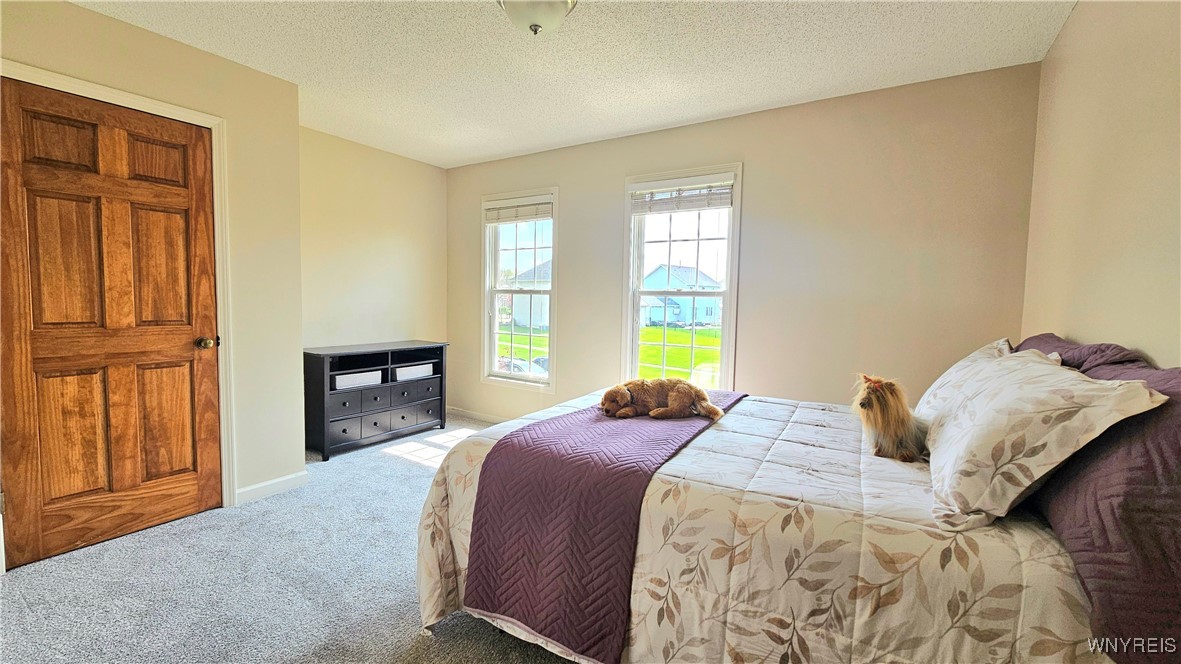 2357 Winterberry Drive, Hamburg, New York image 20