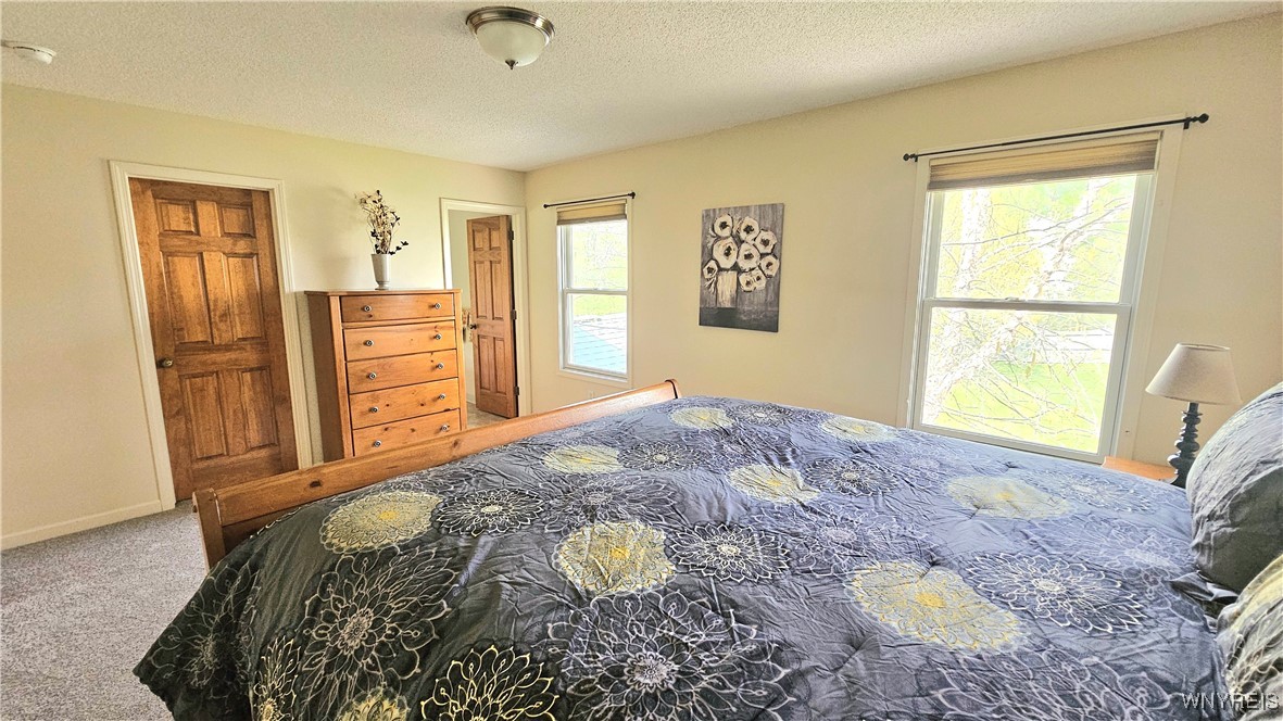 2357 Winterberry Drive, Hamburg, New York image 16