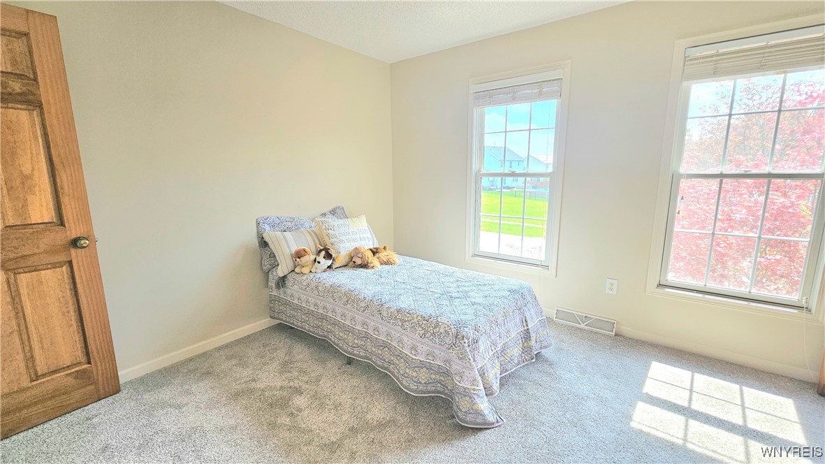 2357 Winterberry Drive, Hamburg, New York image 18