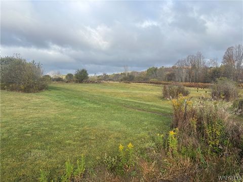 Photo of 10087 Pratt Road, Centerville, NY 14744 (MLS # B1679247)