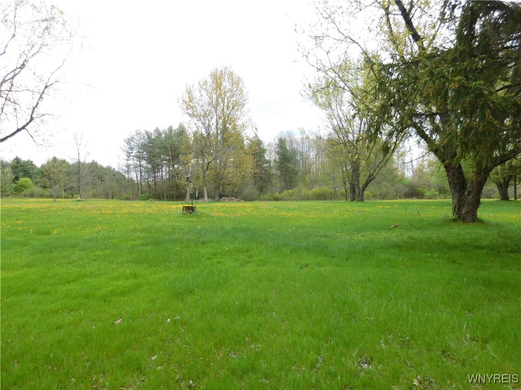 10319 Middle Road, Sardinia, New York image 37