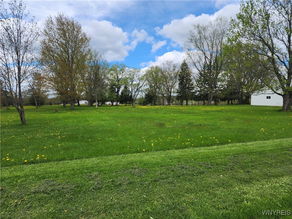 10319 Middle Road, Sardinia, New York image 12