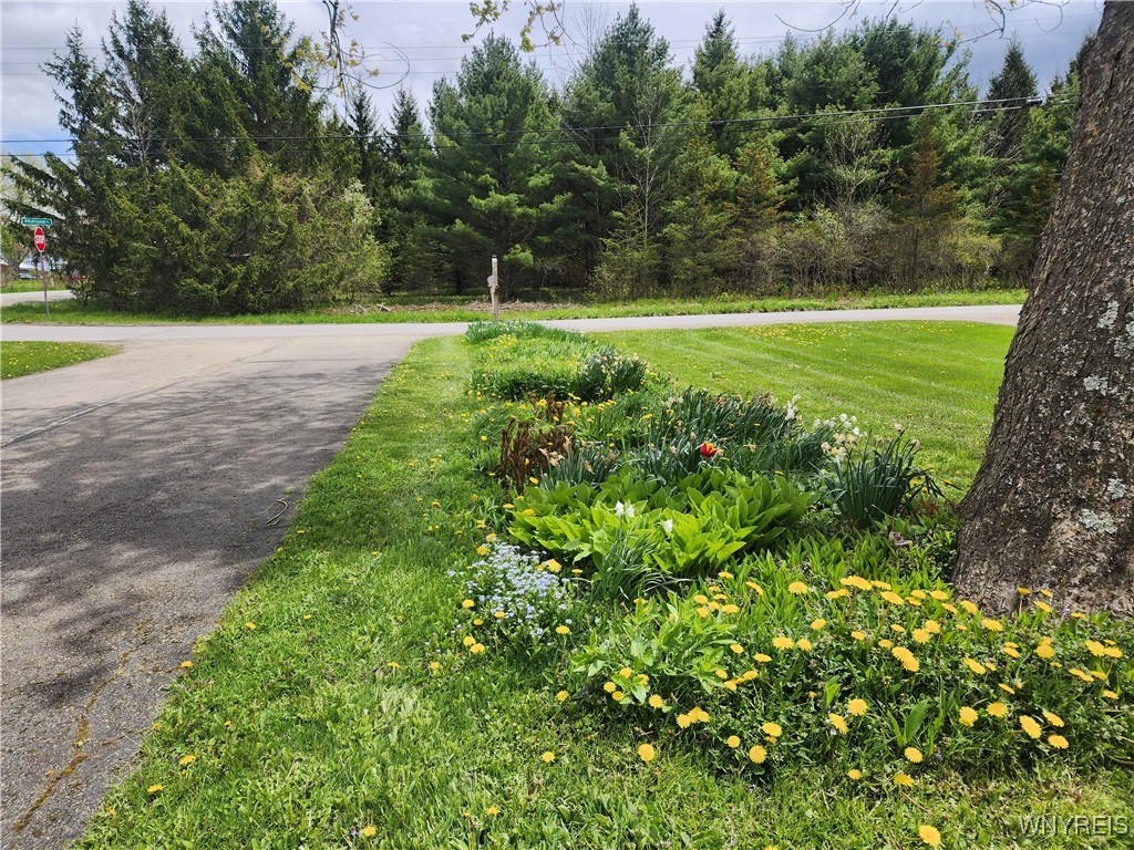 10319 Middle Road, Sardinia, New York image 36