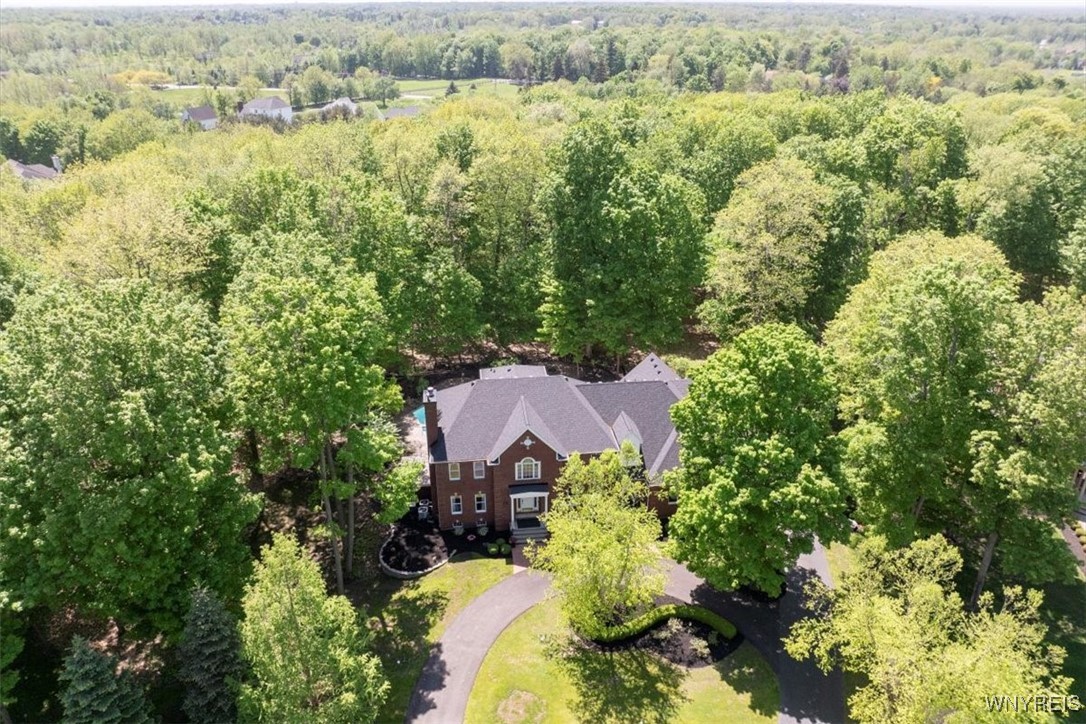 5032 Rockledge Drive, Clarence, New York image 46