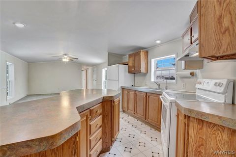 Tiny photo for 67 Winnterview Dr. Dr, Arcade, NY 14009 (MLS # B1660533)