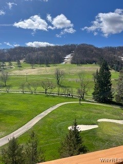 6447 Holiday Valley Road #417/419-2, Ellicottville, New York image 11