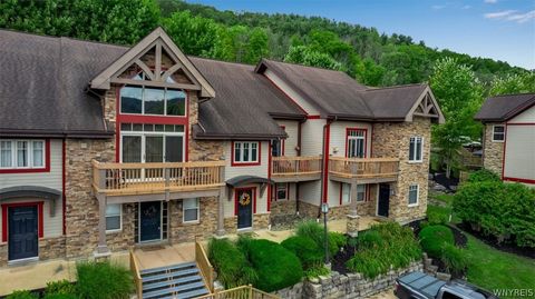9 Mountainview Lower Ellicottville NY 14731