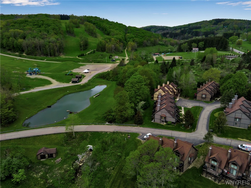 71 The Woods Rd, Ellicottville, New York image 43