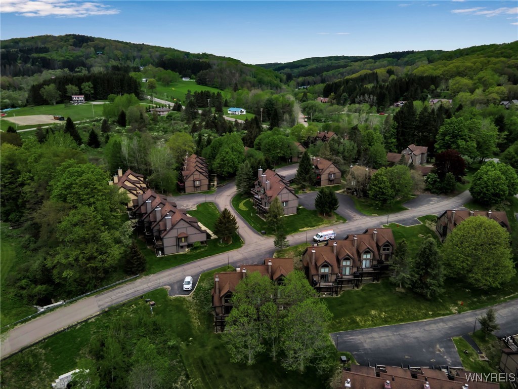 71 The Woods Rd, Ellicottville, New York image 46