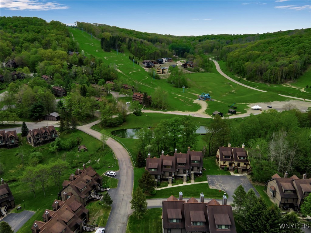 71 The Woods Rd, Ellicottville, New York image 41