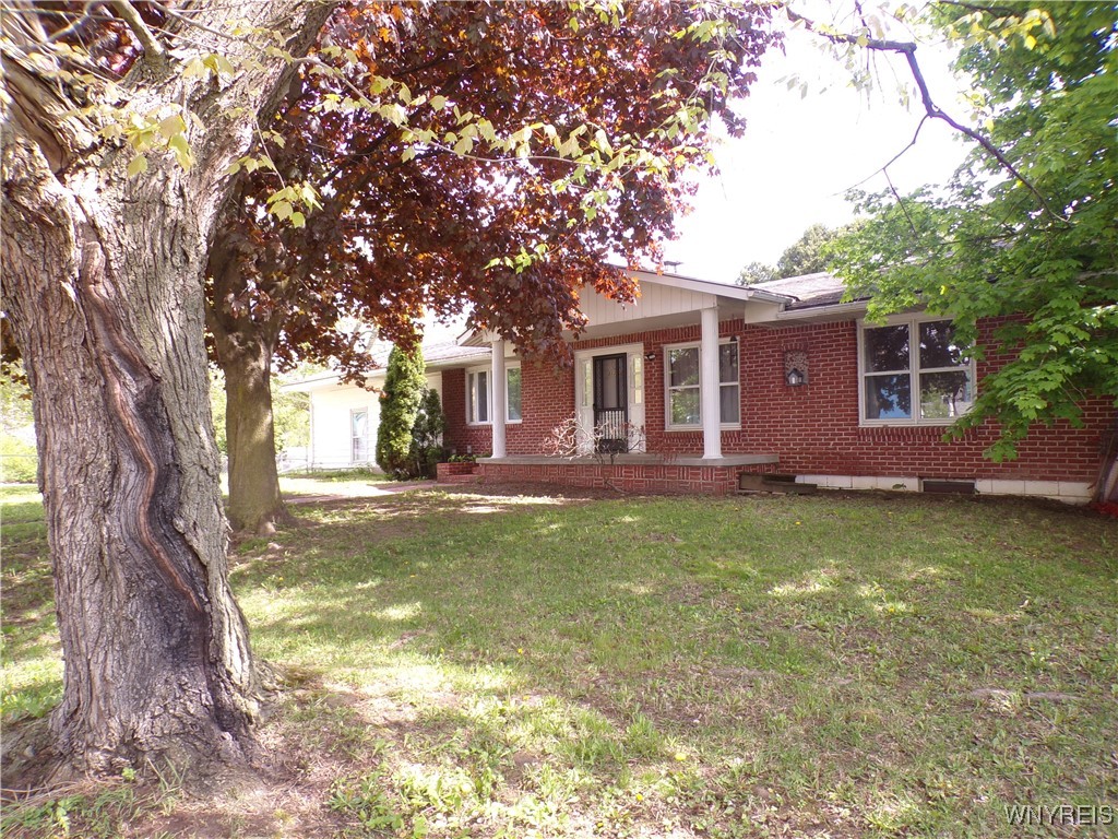 113 River Street, Hornell, New York image 3