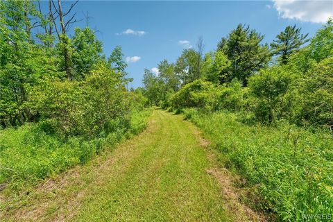 Tiny photo for 2029 Nesbitt Road, Orangeville, NY 14011 (MLS # B1690257)