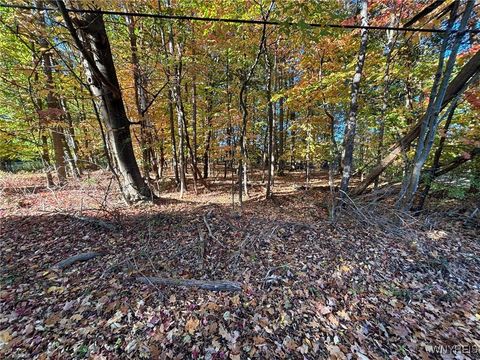 Vacant Land For Sale - Stainton Drive<br/> Hamburg, NY 14075