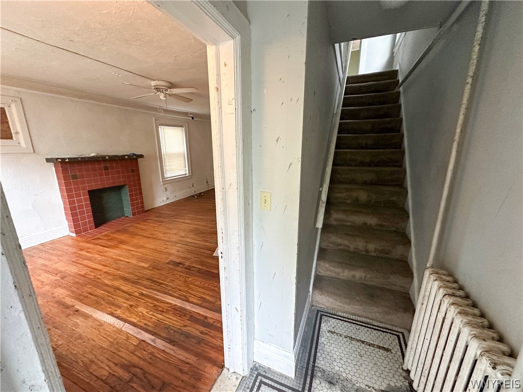 32 Custer Street