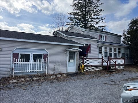 Homes For Sale - 7259 Main Street<br/> Wyoming County, Pike, NY 14066