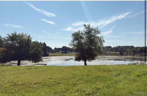 Tiny photo for 3585 Roszyk Hill Road, Machias, NY 14101 (MLS # B1655434)