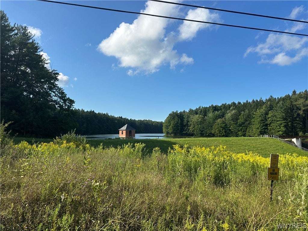 V/L Genesee Road