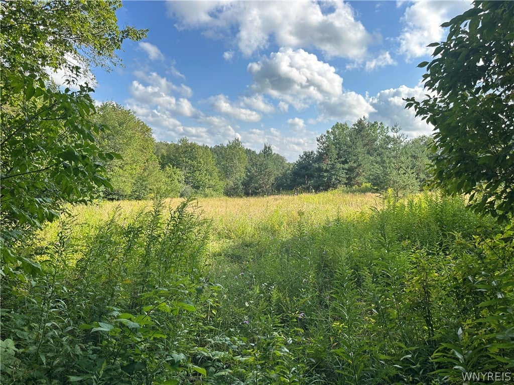 V/L Genesee Road