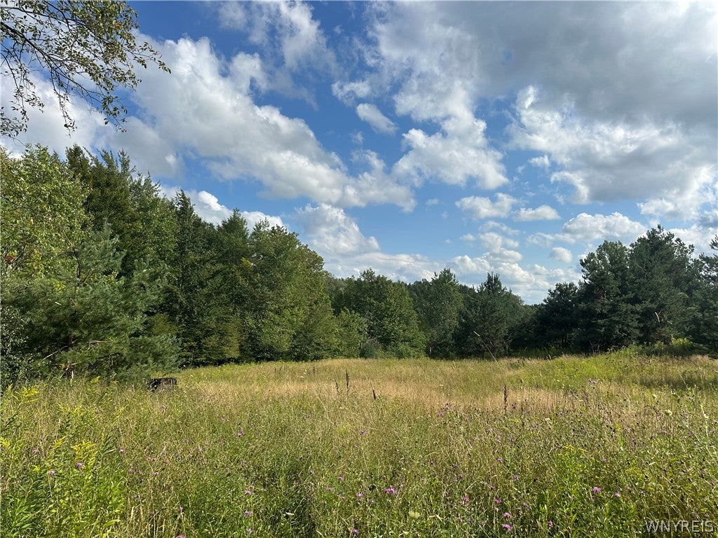 V/L Genesee Road