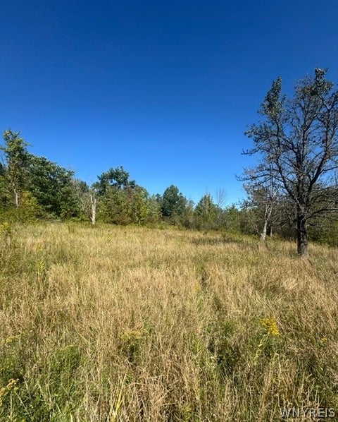 Photo for 8049 Irish Road