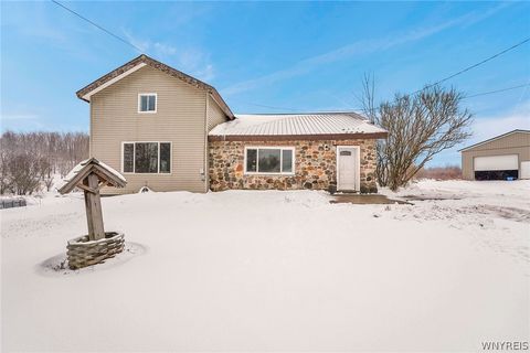 10043 Dutch Hill Road West Valley NY 14171