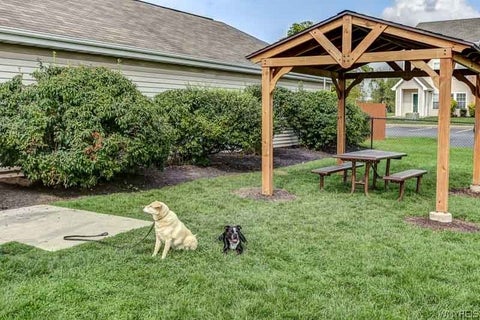 Tiny photo for 25 Spring Meadow Dr A-Plan Dr, Amherst, NY 14221 (MLS # B1714694)