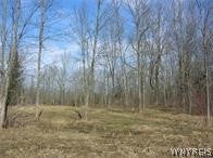 Photo of 4455 S Ayers Road, Newstead, NY 14001 (MLS # B1695130)