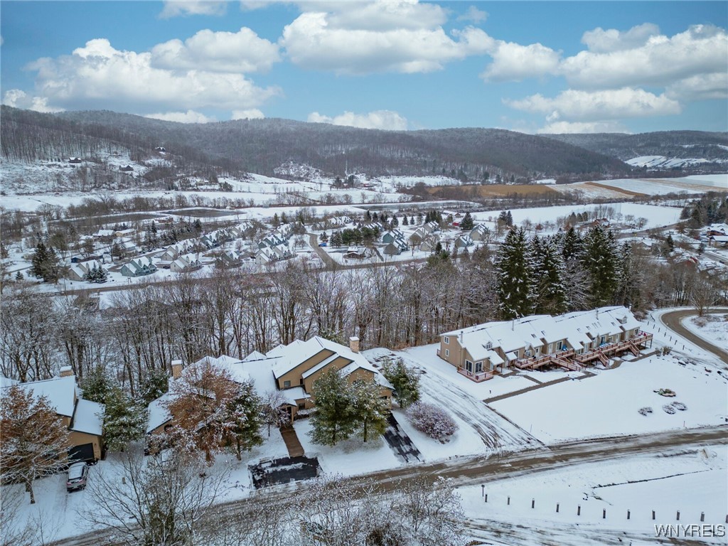 110 Thornbush Road, Ellicottville, New York image 43