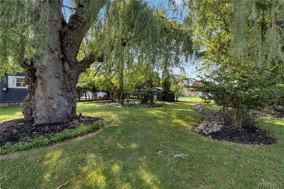 48 Laverack Avenue