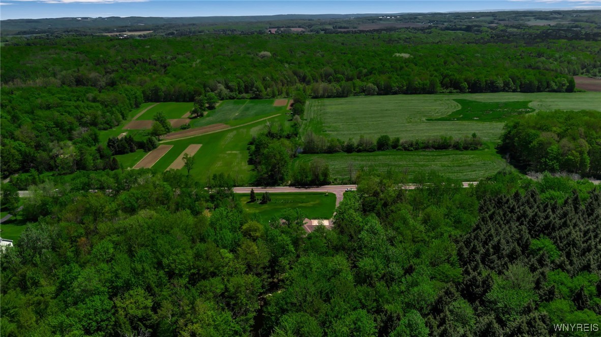 11584 Jennings Road, North Collins, New York image 9