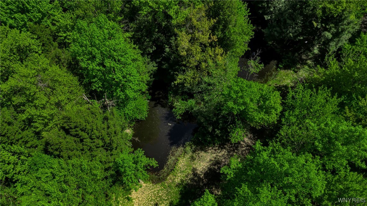 11584 Jennings Road, North Collins, New York image 11