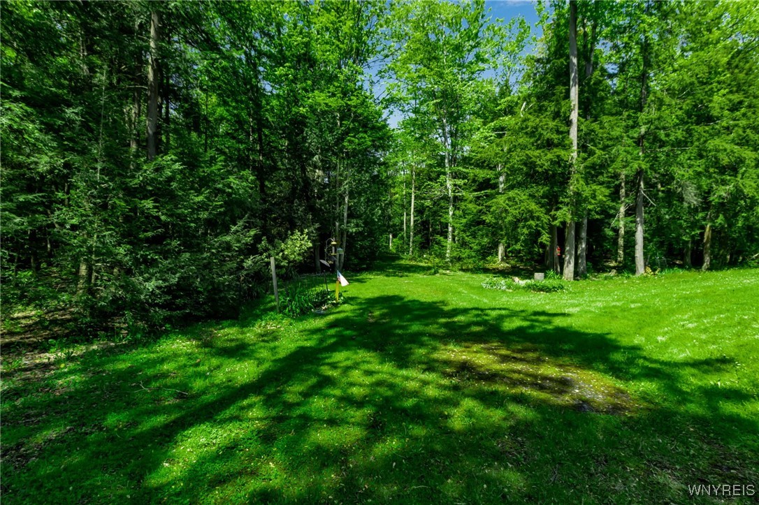11584 Jennings Road, North Collins, New York image 12