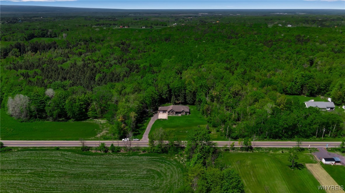 11584 Jennings Road, North Collins, New York image 8