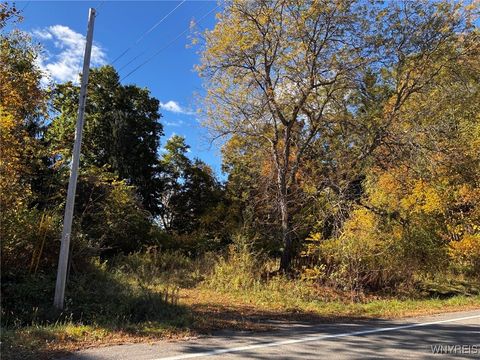 Vacant Land For Sale - 2295 Gowanda Zoar Road<br/> Collins, NY 14070
