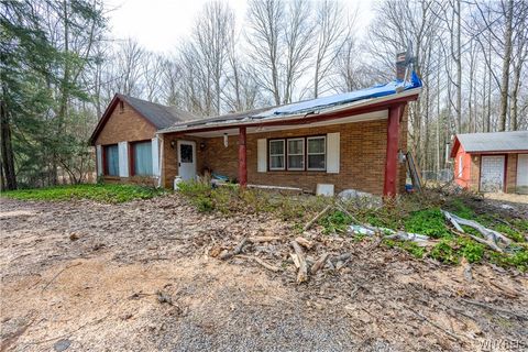 Homes For Sale - 8988 Jennings Road<br/> Eden, NY 14057