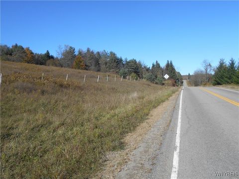 Vacant Land For Sale - 4738 Roszyk Hill  Lot #1 Road<br/> Machias, NY 14101