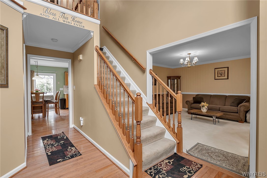 41 Creekwood Drive
