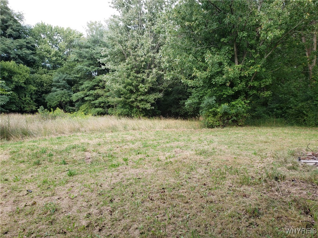 Hartland, New York 14105, United States, 4 Bedrooms Bedrooms, ,2 BathroomsBathrooms,Residential,Active,199414