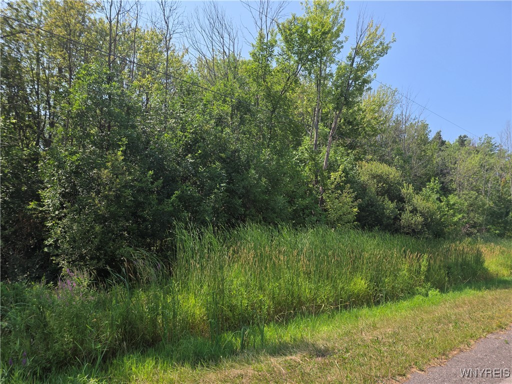 Somerset, New York 14012, United States, ,Land,Active,167580