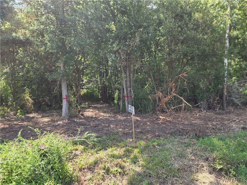 Somerset, New York 14012, United States, ,Land,Active,167580