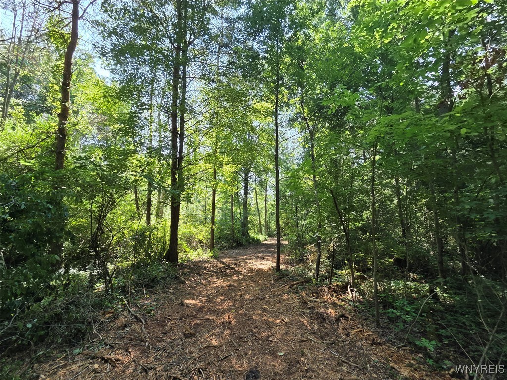 Somerset, New York 14012, United States, ,Land,Active,167580