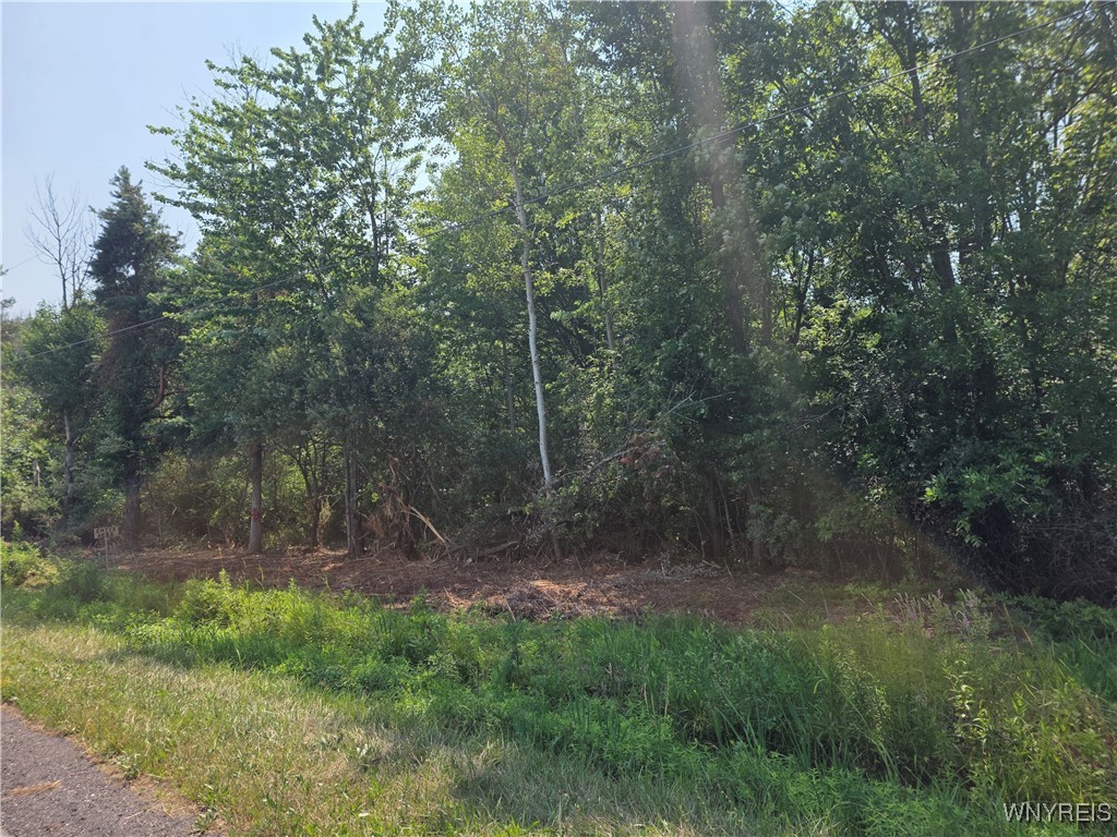 Somerset, New York 14012, United States, ,Land,Active,167580