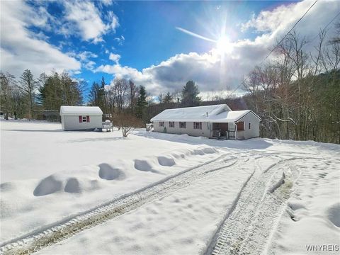 Homes For Sale - 8621 W Bucktooth Run Road<br/> Salamanca, NY 14779