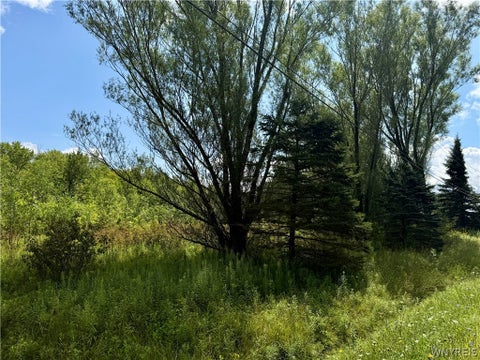 Vacant Land For Sale - 9259 Carpenter Road<br/> Eden, NY 14057