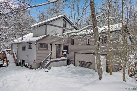 76 Tarn Trail Glenwood NY 14069